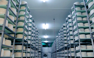Pannelli Termici per la Ristrutturazione e la Costruzione di Stabilimenti Alimentari, Farmaceutici e Camere Bianche: Guida ai Vantaggi Strategici per le Imprese